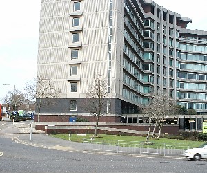 Ashford Roadside site: West view