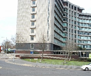 Ashford Roadside site: West view