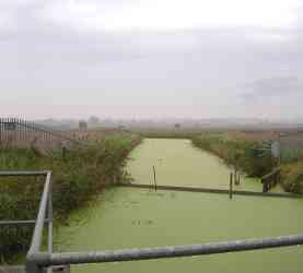 Thanet Rural site: North view