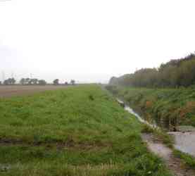 Thanet Rural site: South view