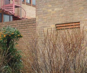 Dartford Town Centre Roadside site: North view